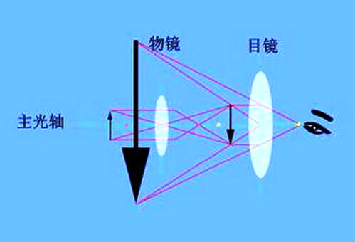金相顯微鏡的放大倍數(shù)就是如何計算的?